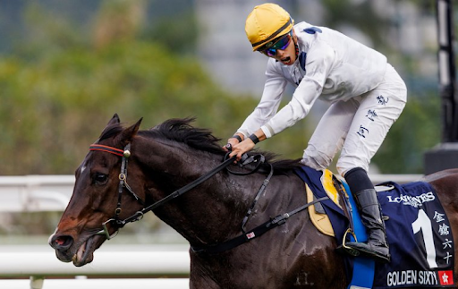 Golden Sixty: Reliving the Glory of Hong Kong’s Greatest Racing Star